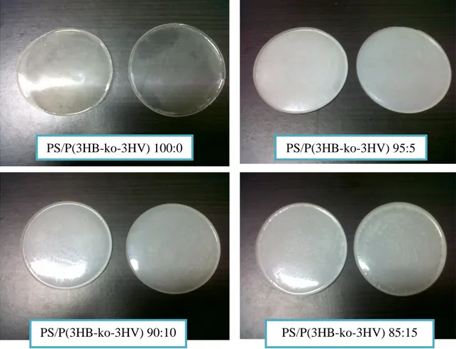 Gambar 1.Filem plastik yang dihasilkan dari campuran PS/P(3HB-ko-3HV) pada berbagai  perbandingan