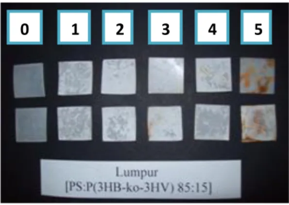 Gambar 3. Profil permukaan filem plastik pada lumpur dengan perbandingan 85:15                         Keterangan : Uji 0-5 adalah lama penguraian (minggu) 