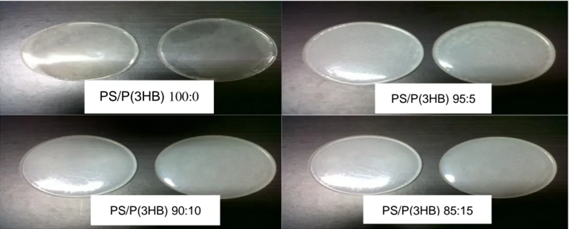 Gambar 1.  Filem plastik yang dihasilkan dari campuran PS/P(3HB) dengan berbagai perbandingan 