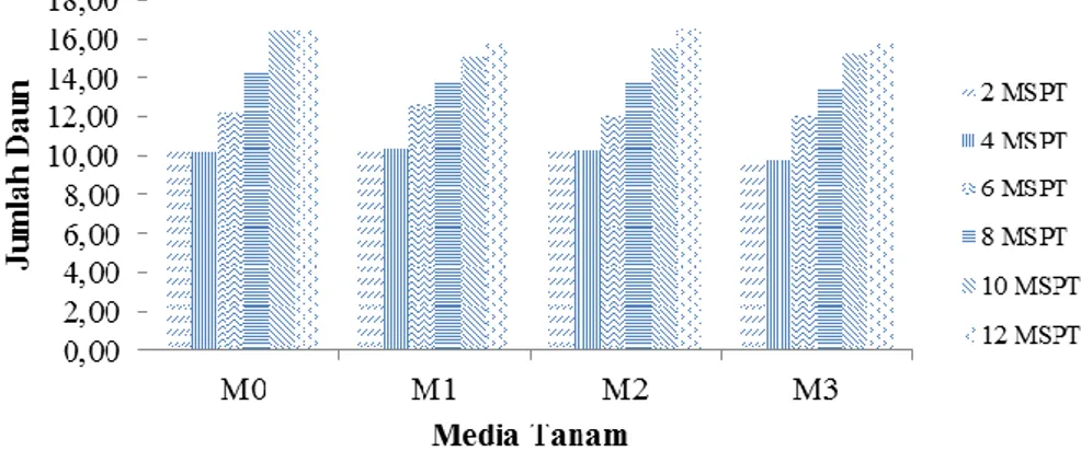 Tabel  3.  Rataan  bobot  segar  akar  (g)  tanaman  kakao  pada  perlakuan  media  tanam  dan  frekuensi  penyiraman pada 12 MSPT