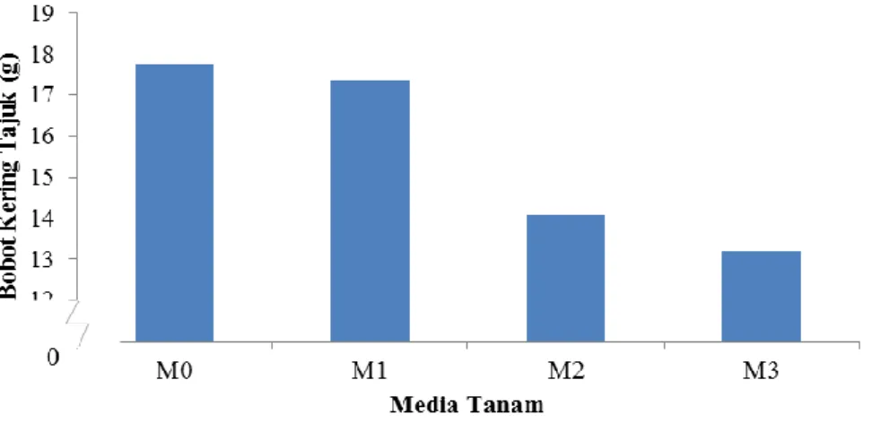 Tabel  5.Rataan  bobot  kering  akar  (g)  tanaman  kakao  pada  perlakuan  media  tanam  dan  frekuensi  penyiraman pada 12 MSPT