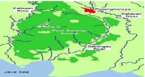 Gambar 2.Peta Lokasi Taman Nasional Sebangau  Sumber:http://id.wikipedia.org/wiki/Taman_Nasional_Sebangau 