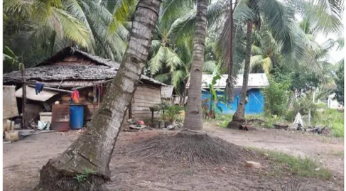 Foto 1. Sebagian Rumah Kayu yang Ditempati Masyarakat Suku Laut  (Dok. Puslitjakdikbud, tanggal 4 Agustus 2016) 