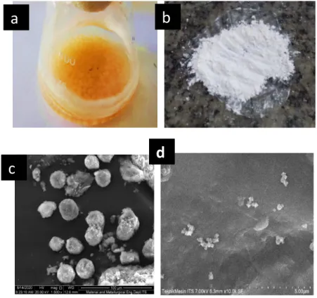 Fig. 1. (a) Biocomposite Gt/UiO-66; (b) Syntesized UiO-66; SEM micrographs of Gt/UiO-66 (c)  1500 magnified; (d) 10000 magnified 