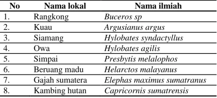 Tabel 5. Fauna di zona pemanfataan intensif  Resort Balik Bukit 