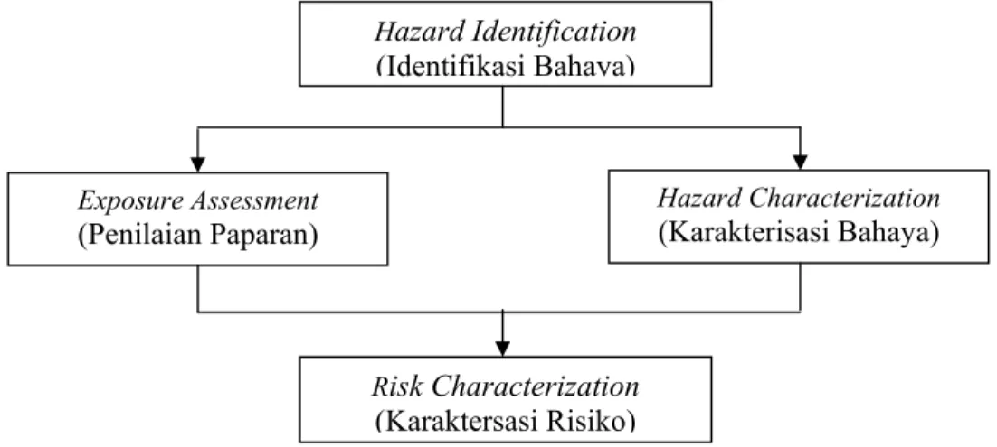 Gambar 7. Diagram alir hubungan empat komponen dalam         risk assessment  (Sumner et al