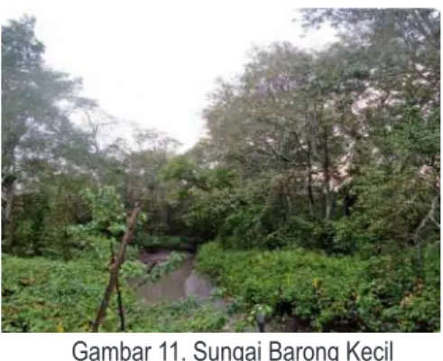 Gambar 11. Sungai Barong Kecil