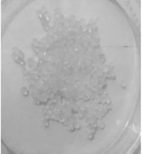 Gambar 2. Kurva kalibrasi standar logam Cd pada  rentang konsentrasi 0-1 mg/L. 