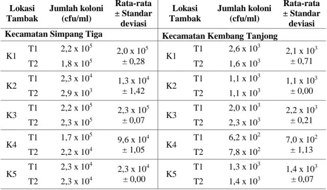 Tabel 2. Data Jumlah koloni Vibrio 