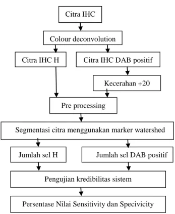 Gambar 5. Skema tahapan segmentasi marker watershed pada citra IHC 