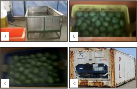 Gambar 1.   Water Bath untuk perendaman mangga dalam air panas (a); pencelupan mangga dalam  ekstrak  lengkuas  (b);  perendaman  mangga  dalam  emulsi  lilin  (c);  dan  kontainer  berpendingin (d) 
