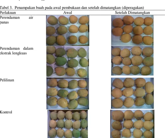 Tabel 2. Lama peragaan buah mangga pada suhu 18-22  0 C  Perlakuan  Matang penuh (hari ke-)  Lama peragaan (hari)  P1  P2  P3  P4  P1  P2  P3  P4 