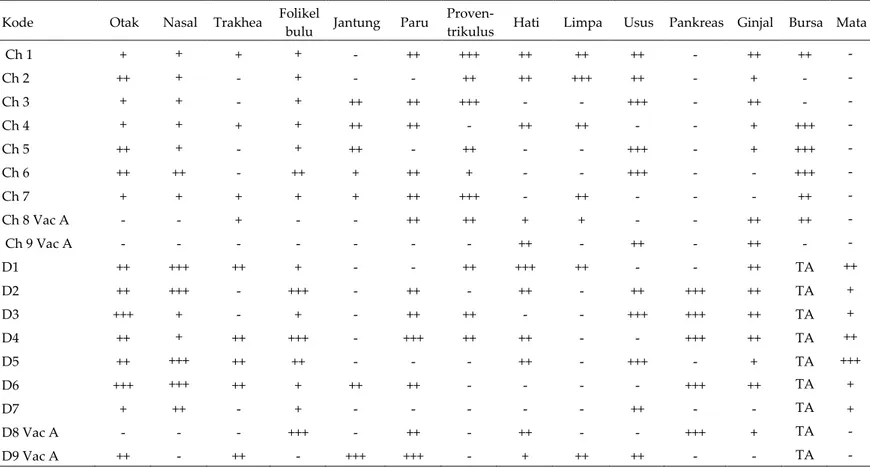 Tabel 1. Derajat keparahan lesi pada berbagai organ ayam kampung dan itik yang diinfeksi isolat H5N1 clade 2.3.2 