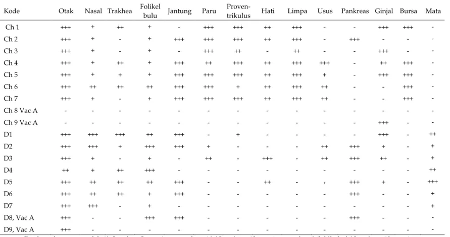 Tabel 2. Jumlah sebaran antigen pada berbagai organ ayam kampung dan itik dengan pewarnaan imunohistokimia 