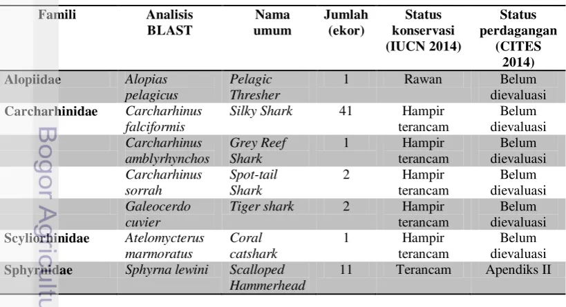 Tabel 1 merupakan hasil BLAST spesies hiu yang didaratkan di Pelabuhan 