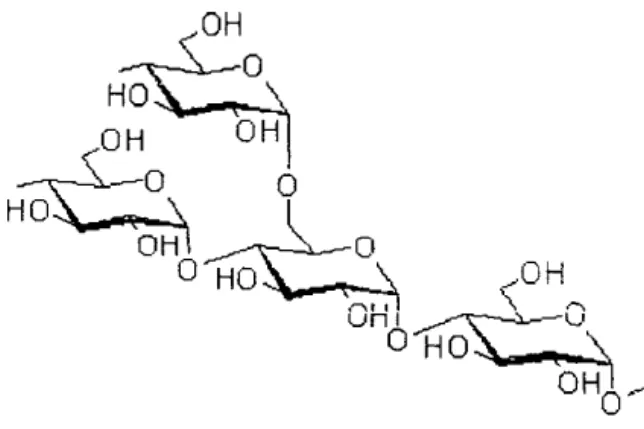 Gambar 1.2.  Struktur kimia  amilopektin  [4] 