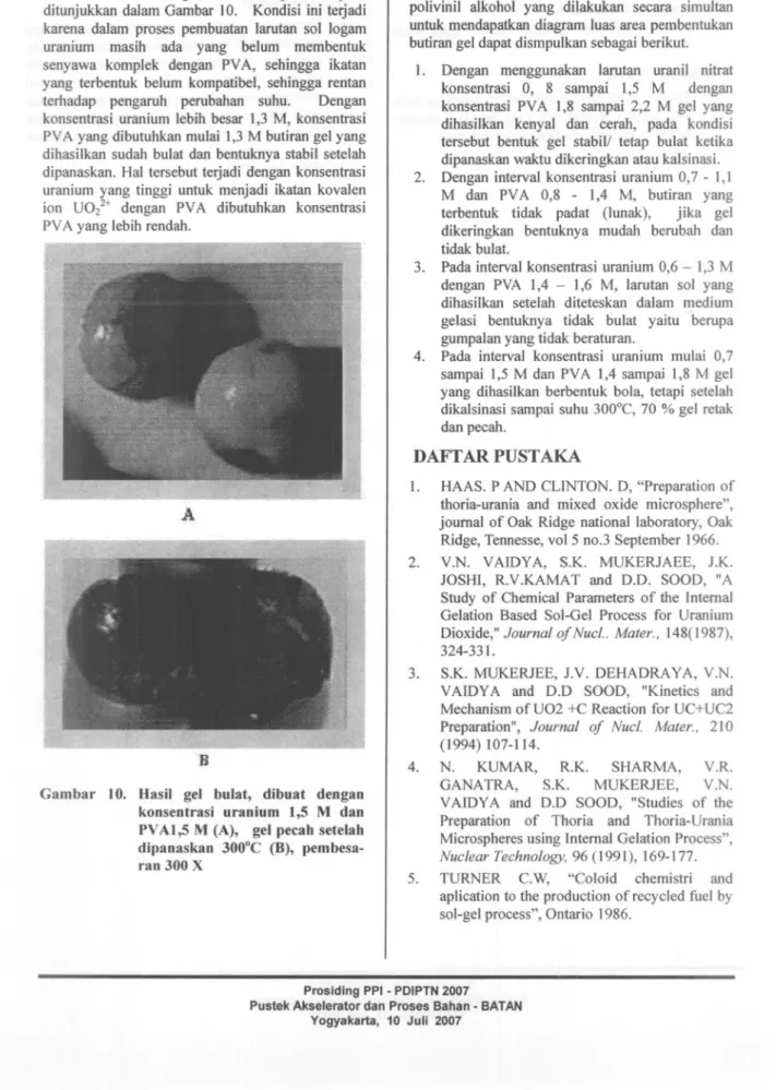 Gambar 10. HasH gel bulat, dibuat dengan konsentrasi uranium 1,5 M dan PV AI,5 M (A), gel pecah setelah dipanaskan 300·C (B),  pembesa-ran 300 X