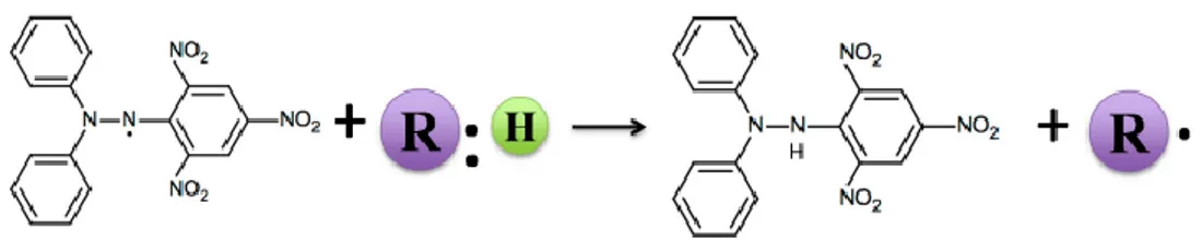 Gambar 3. Penangkalan radikal bebas DPPH oleh senyawa antioksidan (Liang &amp; Kitts, 2014)  Mekanisme  reaksi  penangkalan  radikal 