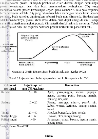 Gambar 2 Grafik laju respirasi buah klimakterik (Kader 1992) 