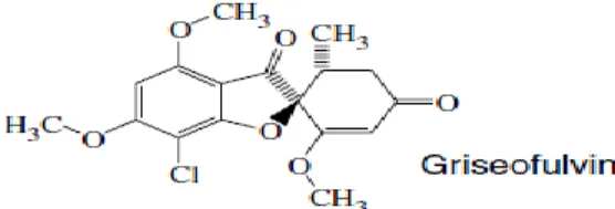 Gambar 7 Struktur molekul griseofulvin (Bossche et al. 2003) 