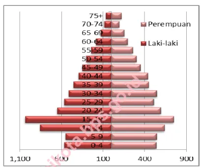 Grafik 3.1  Piramida Penduduk Kecamatan Pelayangan Tahun 2013  Graph 3.1   Population Pyramid of Pelayangan District, 2013 