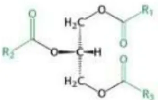 Ilustrasi 5. Struktur Kimia Trigliserida (Berg dan Scherer, 2012) 