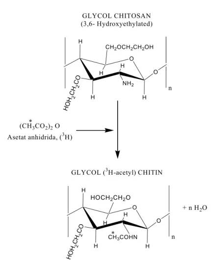 Gambar 4. Reaksi transformasi glikol kitosan menjadi glikol kitin (Araki, Y. 