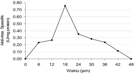Gambar 6. Grafik Aktivitas Spesifik Kitin Deasetilase Bacillus sp. PT2-3,  selama Fermentasi 48 jam