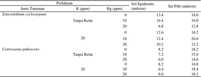 Tabel  4.  Rata-rata Ukuran sel Epidermis dan Pith Enterolobium cyclocarpum dan Centrosema pubescens pada  Perlakuan Hg dan Kelat  