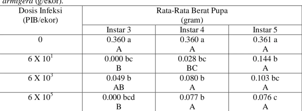 Tabel  3.  Pengaruh  dosis  infeksi  HaNPV  dan  Instar Larva  terhadap  Berat  Pupa  dari  H