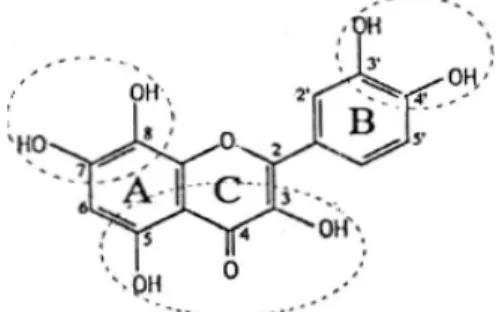 Gambar 5  Struktur kimia flavonoid. 