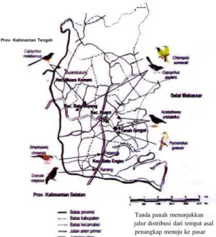 Gambar 1. Sebaran lokasi asal tangkapan burung liar terhadap pusat perdagangannya di Kota Tanah Grogot, Kabupaten Paser, Provinsi Kalimantan Timur.