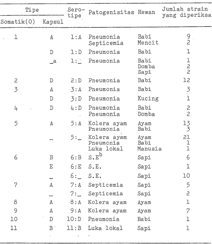 Tabel  2.  Hubungan  an tara  serotipe  Pasteurella  multocida  dengan  species  host  dan  patogenisitasnya