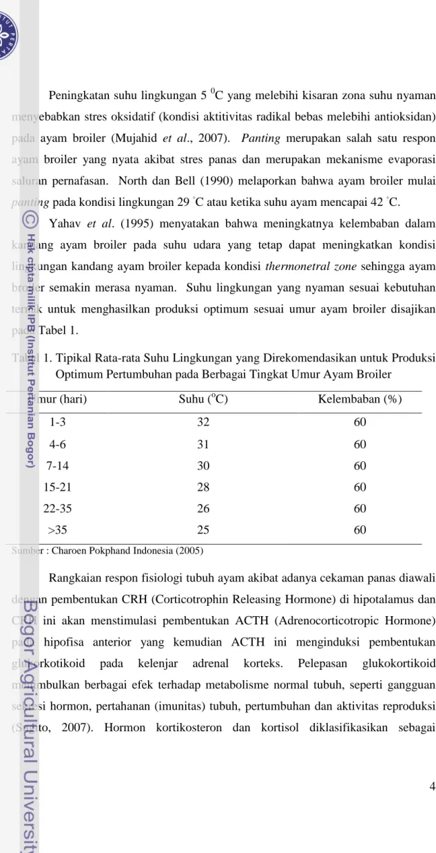 Tabel 1. Tipikal Rata-rata Suhu Lingkungan yang Direkomendasikan untuk Produksi  Optimum Pertumbuhan pada Berbagai Tingkat Umur Ayam Broiler 