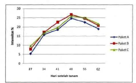 Gambar 1. Perkembangan intensitas serangan lalat pengorok daun, Kerinci 2008.