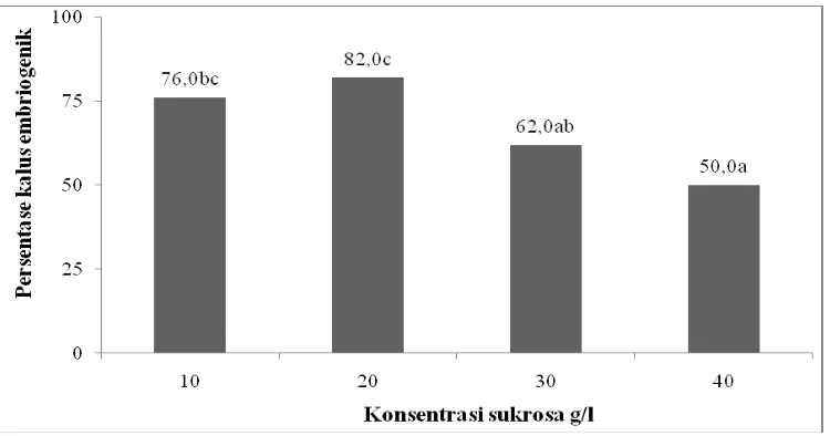 Gambar 5.  Persentase kalus embriogenik pada berbagai macam konsentrasi sukrosa (10, 20, 30, dan 40 g/l) untuk kultivar Jerapah