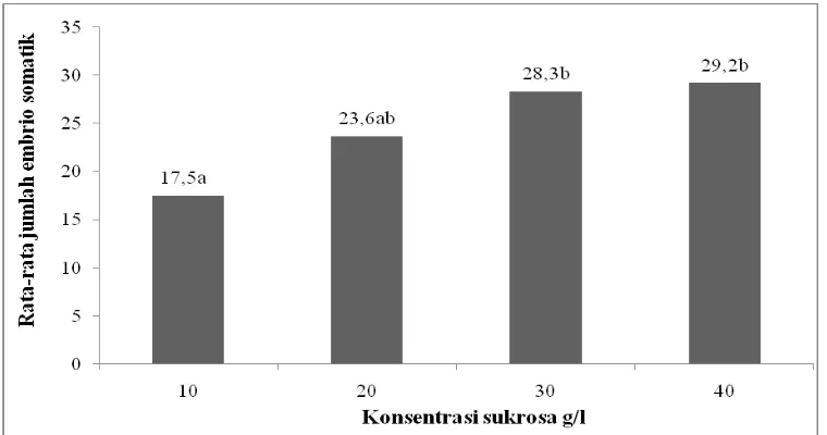Gambar 6.  Rata-rata jumlah embrio somatik per eksplan pada berbagai macam konsentrasi sukrosa (10, 20, 30, dan 40 g/l) untuk kultivar Sima