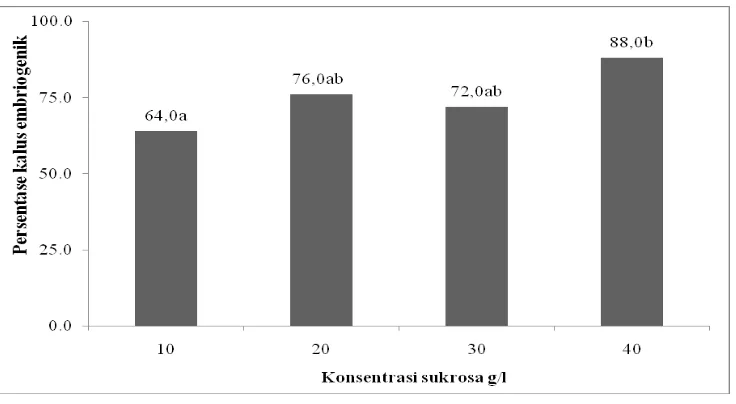 Gambar 7.  Persentase kalus embriogenik per eksplan pada berbagai macam konsentrasi sukrosa (10, 20, 30, dan 40 g/l) untuk kultivar Sima