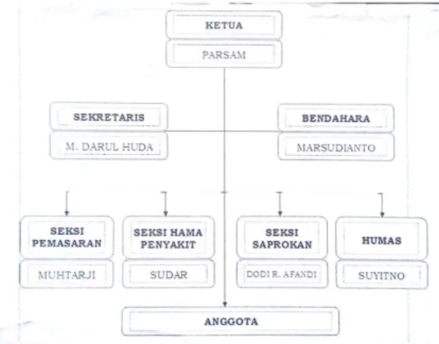 Gambar 3. Struktur Organisasi Pengelola  Budidaya Buah-buahan desa Sawohan  c.  Terdistribusikan  buah-buahan  ke 