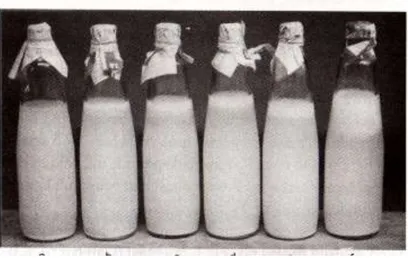 Gambar  5.6  Penambahan  Ketebalan  Lapisan  nata  dalam  Fermentasi,  a.  sesaat  setelah  pemberian nata, b