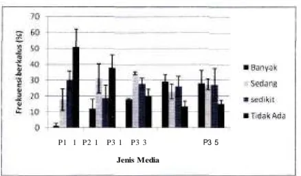 Tabel 1. Pembentukan kalus dan tunas serta frekuensi tunas transgenik putatif pada media perlakuan. Media induksi kalus mengandung 0,05 mg/1 IBA dan 1 g/1 P VP (P l- l), 0,25 mg/1 IBA dan 1 g/1 PVP (P2- 1), 0,5 mg/1 IBA dan 1 mg/1 PVP (P3- 1), 0,5 mg/1 IBA