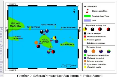 Gambar 9. Sebaran bintang laut dan lamun di Pulau Sapudi 