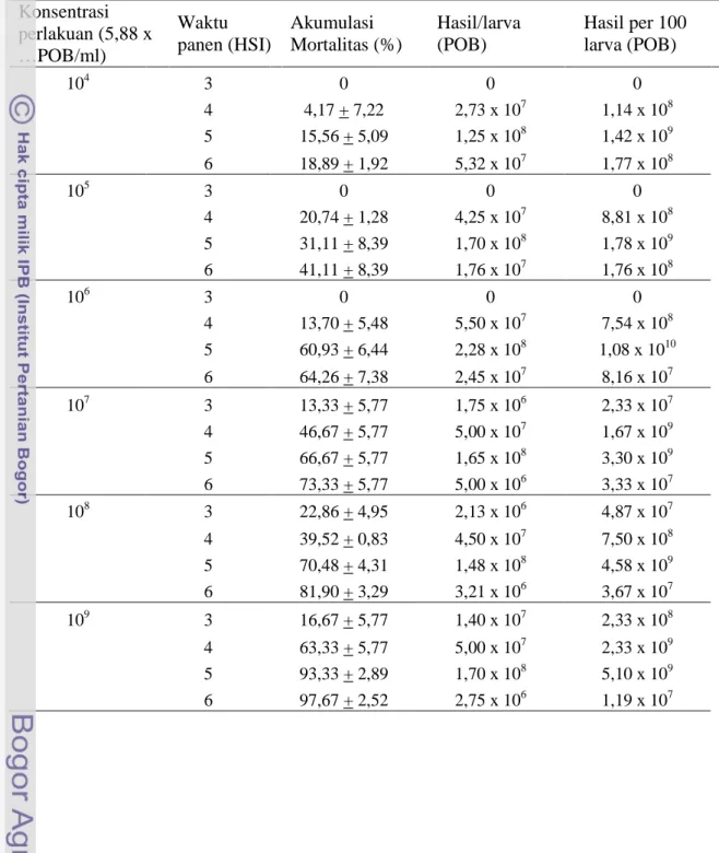 Tabel  3.4. Produksi polihedra berdasarkan konsentrasi inokulum dan waktu panen Konsentrasi perlakuan (5,88 x …POB/ml) Waktu panen (HSI) Akumulasi Mortalitas (%) Hasil/larva(POB) Hasil per 100larva (POB) 10 4 3 0 0 0 4 4,17 + 7,22 2,73 x 10 7 1,14 x 10 8 5