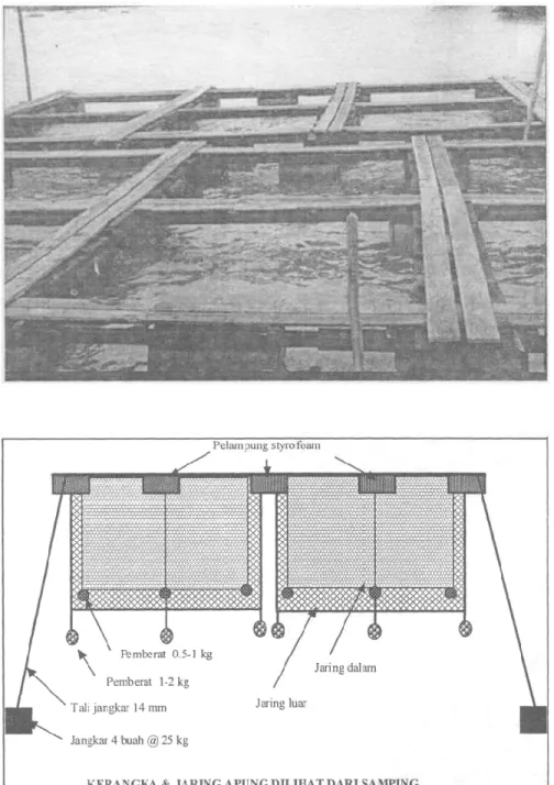 Gambar 4.  Konstruksi  kerangka  apung  (A)  dan  Ilustrasi  karamba  jaring  apung  dilihat  dari 