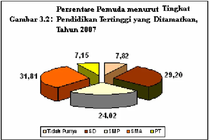 Gambar 3.2 menunjukkan bahwa sumber daya pemuda Indonesia  lebih dari sepertiganya (31,81%) berpendidikan SMA; 29,20 persen  berpendidikan SD, dan 24,02 persen telah berpendidikan SMP dan hanya  7,15 persen yang telah menyelesaikan perguruan tinggi