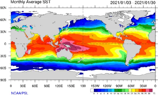 Gambar 6. Rata-rata Suhu Muka Laut Januari 2021  (Sumber: https://psl.noaa.gov/map/images/sst/sst.month.gif )