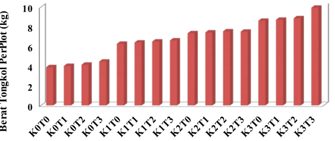 Gambar 5. Histogram Interaksi Pengaruh Pupuk Kalium dan Kompos TKKS Terhadap Berat Tongkol Per Plot ( kg).