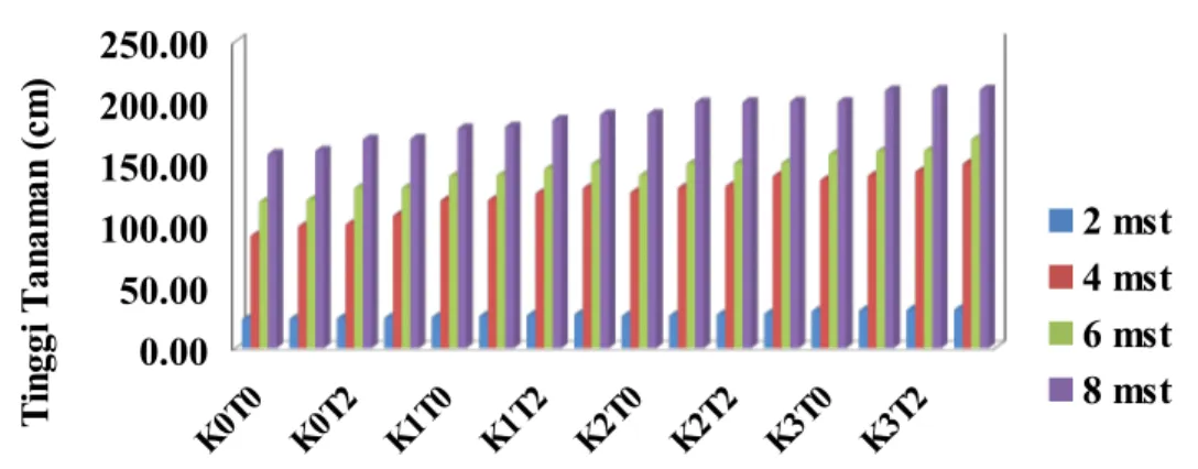 Gambar 1. Histogram Interaksi Pengaruh Pupuk Kalium dan Kompos   TKKSTerhadap Tinggi Tanaman Umur 2,4,6 dan 8 MST.