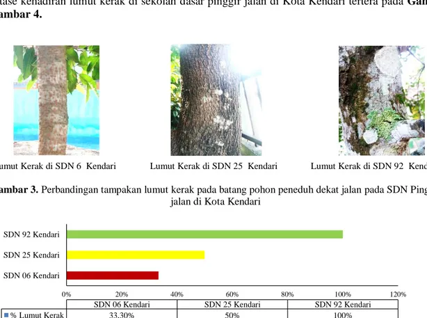 Gambar 3. Perbandingan tampakan lumut kerak pada batang pohon peneduh dekat jalan pada SDN Pinggir  jalan di Kota Kendari  