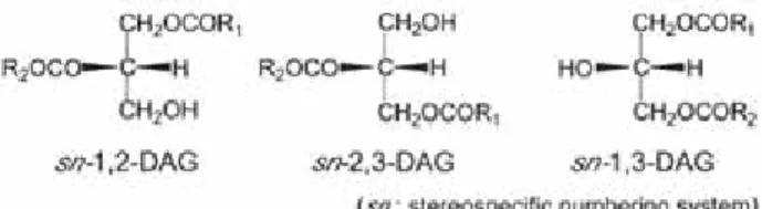 Gambar 1.1 Struktur Diasilgliserol 